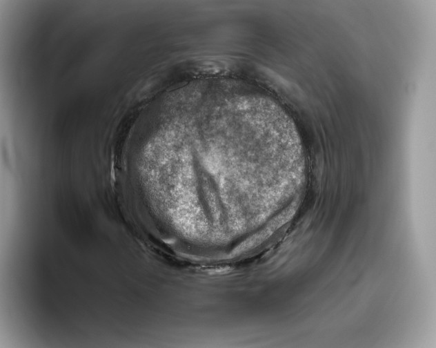 X0000093501394200711091654