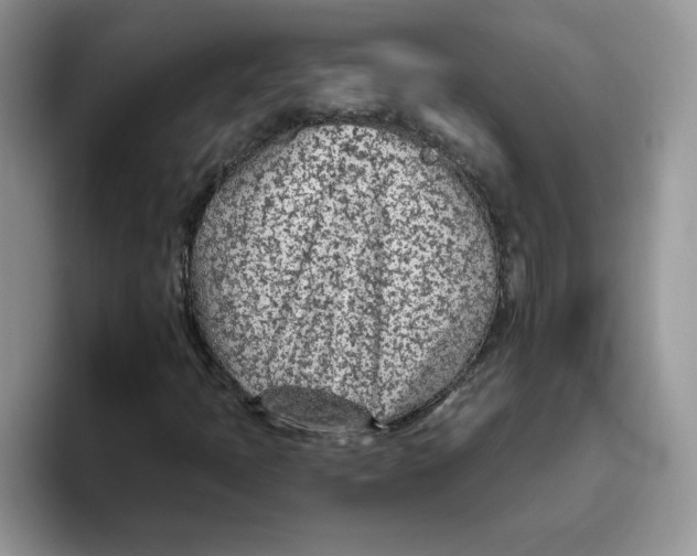 X0000093501397200711091654