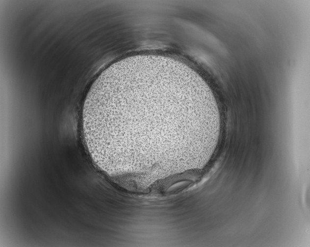 X0000093501401200711091654