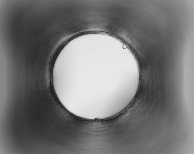 X0000093501408200711091654