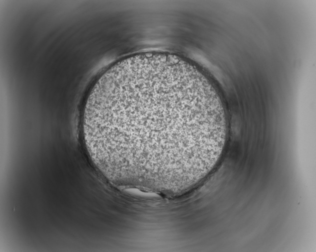 X0000093501411200711091654