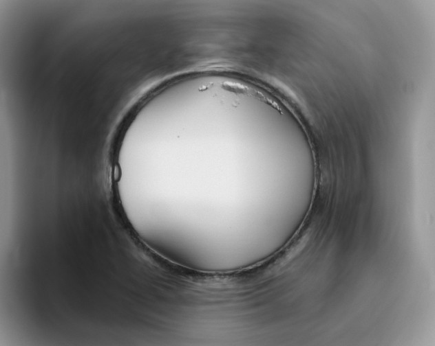 X0000093501414200711091654
