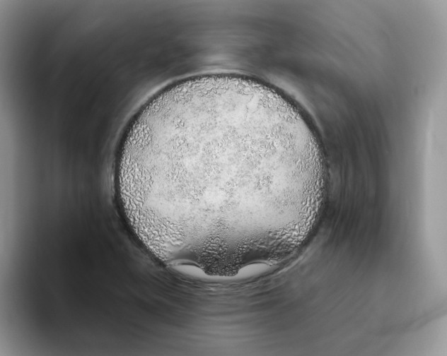 X0000093501415200711091654