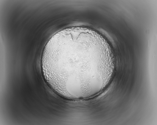 X0000093501417200711091654