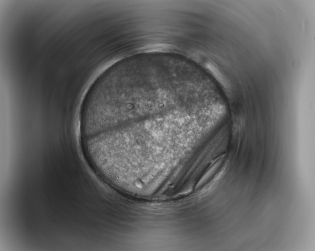 X0000093501418200711091654