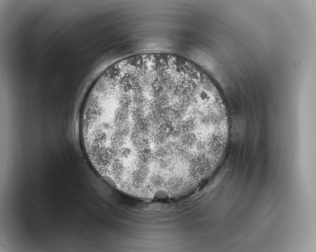 X0000093501419200711091654