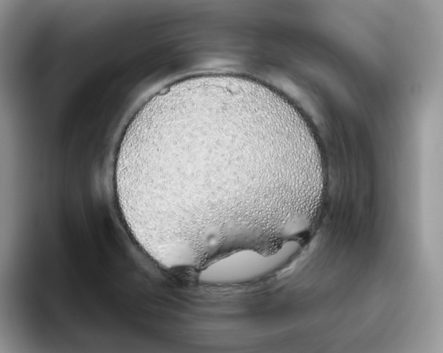 X0000093501421200711091654