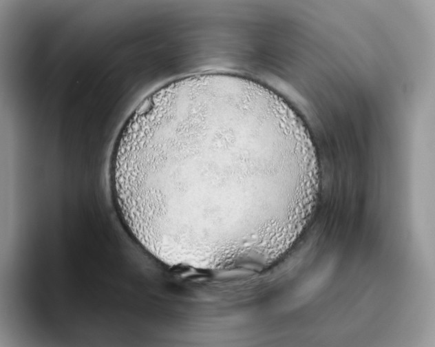 X0000093501423200711091654