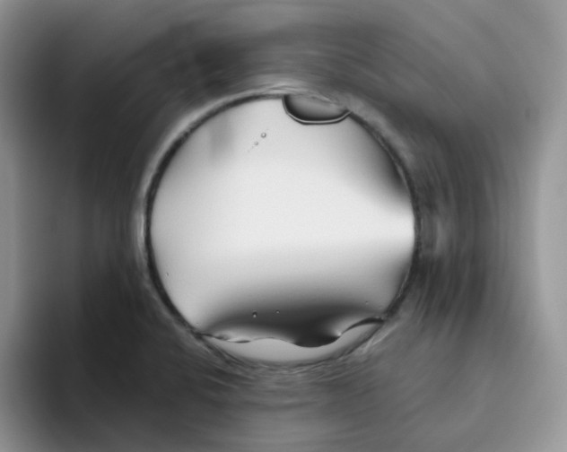 X0000093501424200711091654