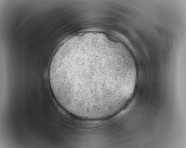 X0000093501425200711091654