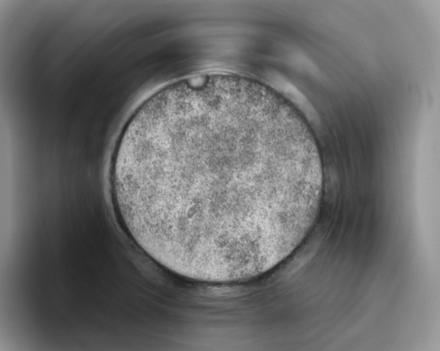 X0000093501427200711091654