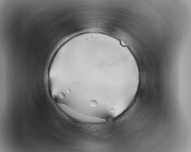 X0000093501428200711091654