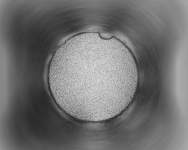 X0000093501429200711091655