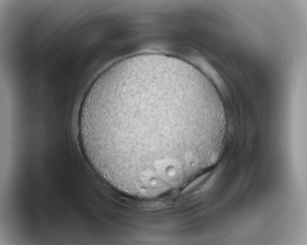 X0000093501435200711091655