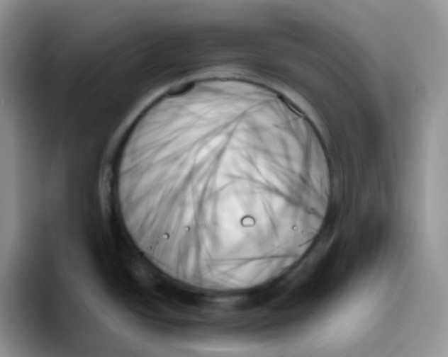 X0000093501438200711091655