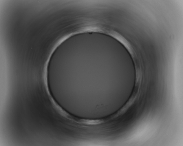 X0000093501439200711091655