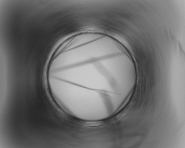 X0000093501440200711091655