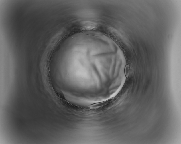 X0000093501441200711091654