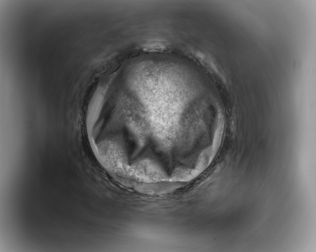 X0000093501445200711091654