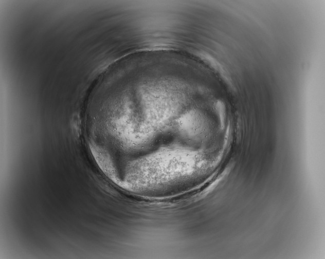 X0000093501449200711091654