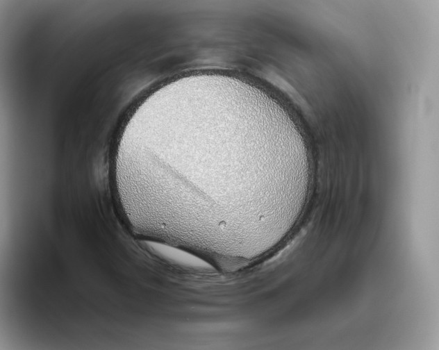 X0000093501450200711091654