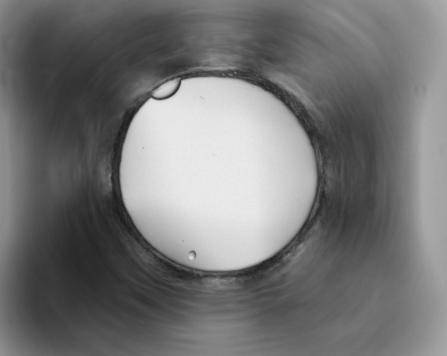 X0000093501451200711091654