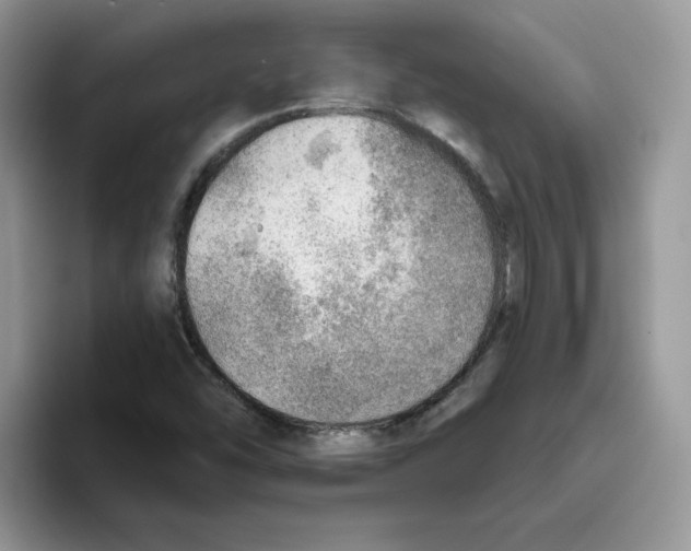 X0000093501454200711091654