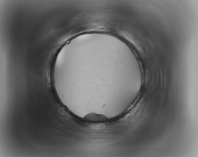 X0000093501455200711091654