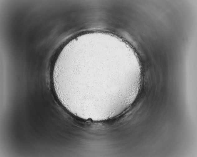 X0000093501456200711091654