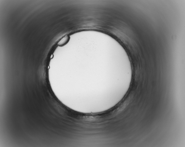 X0000093501458200711091654
