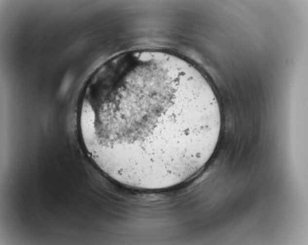 X0000093501459200711091654