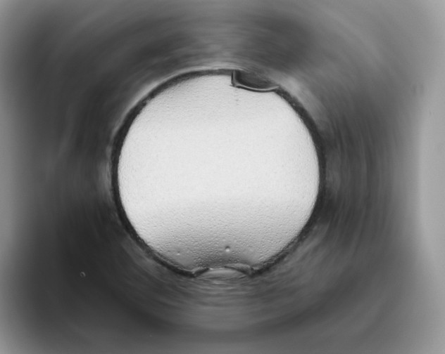 X0000093501460200711091654
