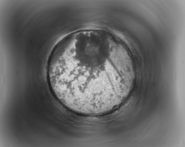 X0000093501463200711091654