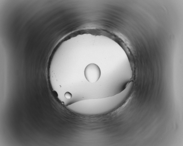 X0000093501465200711091654