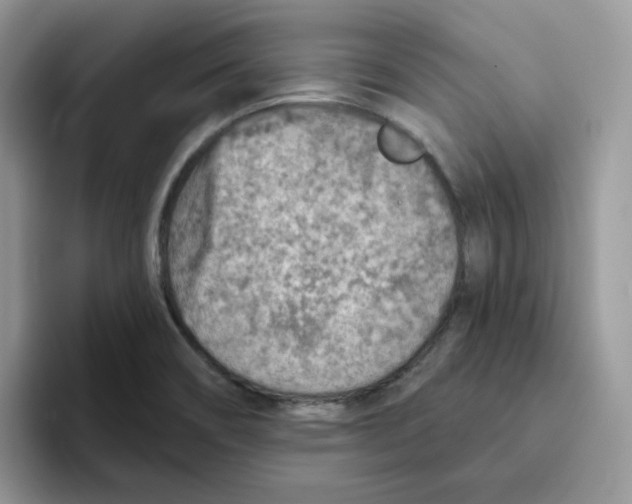 X0000093501466200711091654