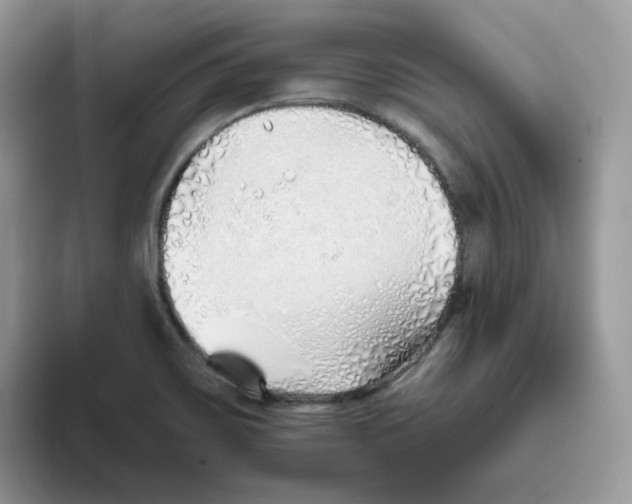 X0000093501467200711091654