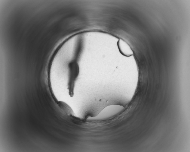 X0000093501468200711091654