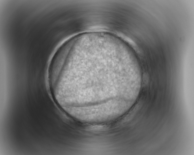 X0000093501470200711091654