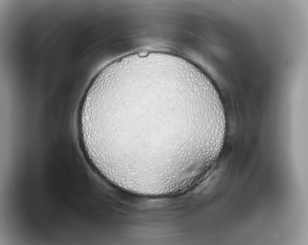 X0000093501471200711091654