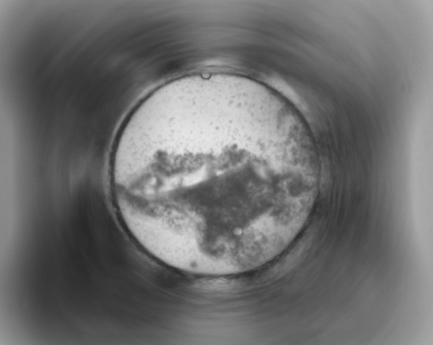 X0000093501474200711091654
