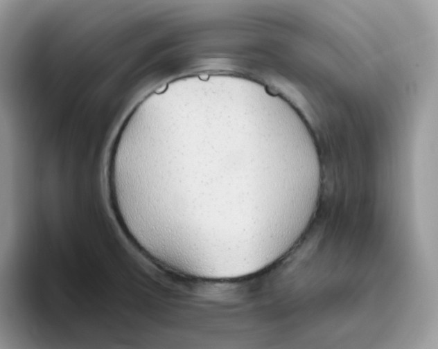 X0000093501475200711091654
