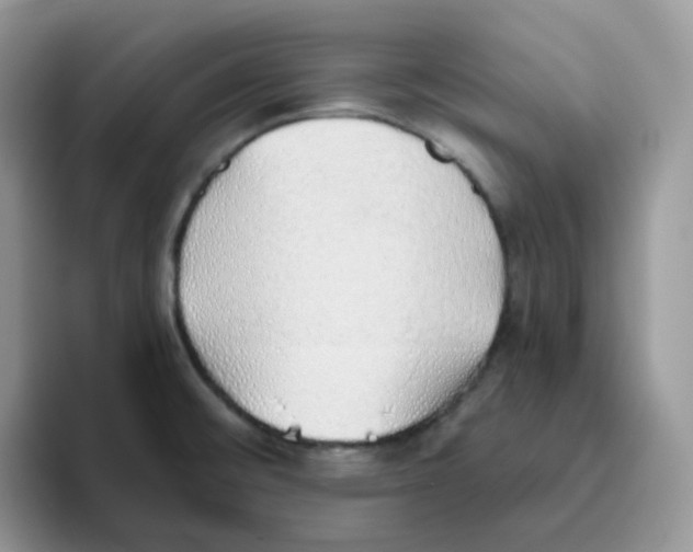 X0000093501476200711091654