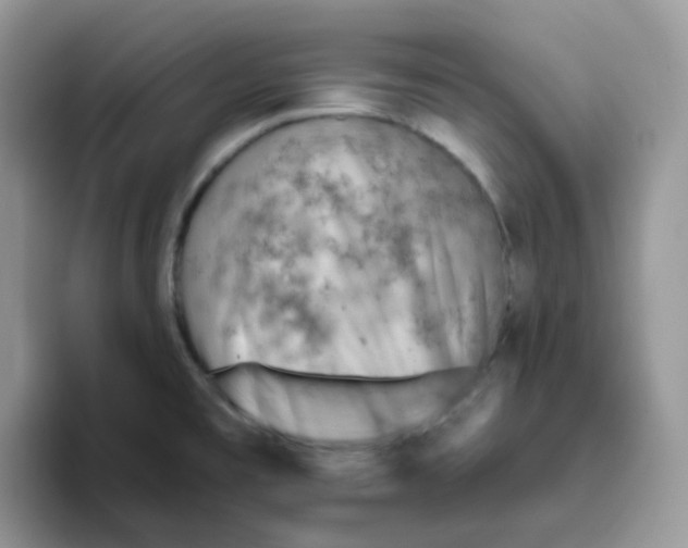 X0000093501477200711091654