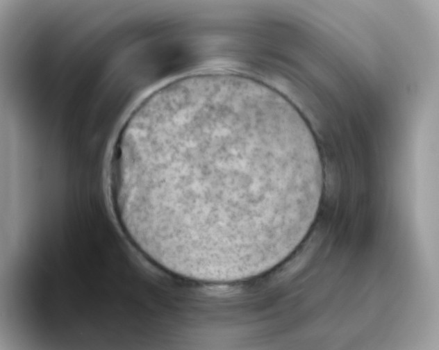 X0000093501478200711091654