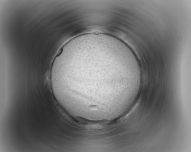 X0000093501481200711091654