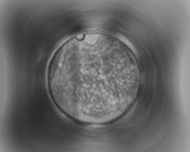 X0000093501482200711091654