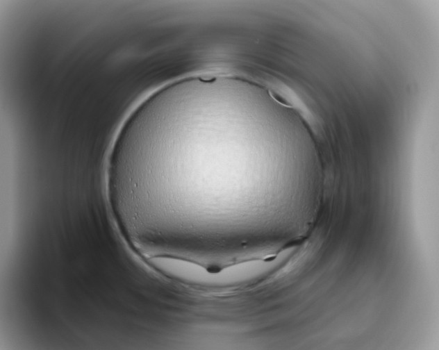 X0000093501484200711091654