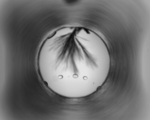 X0000093501485200711091654