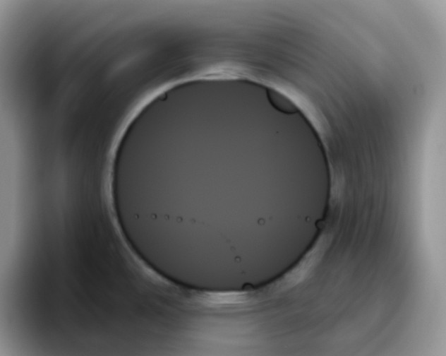 X0000093501486200711091654