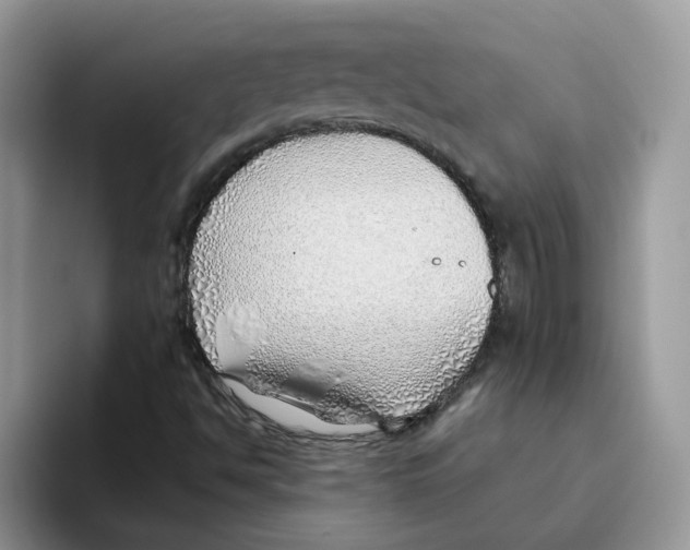 X0000093501494200711091653